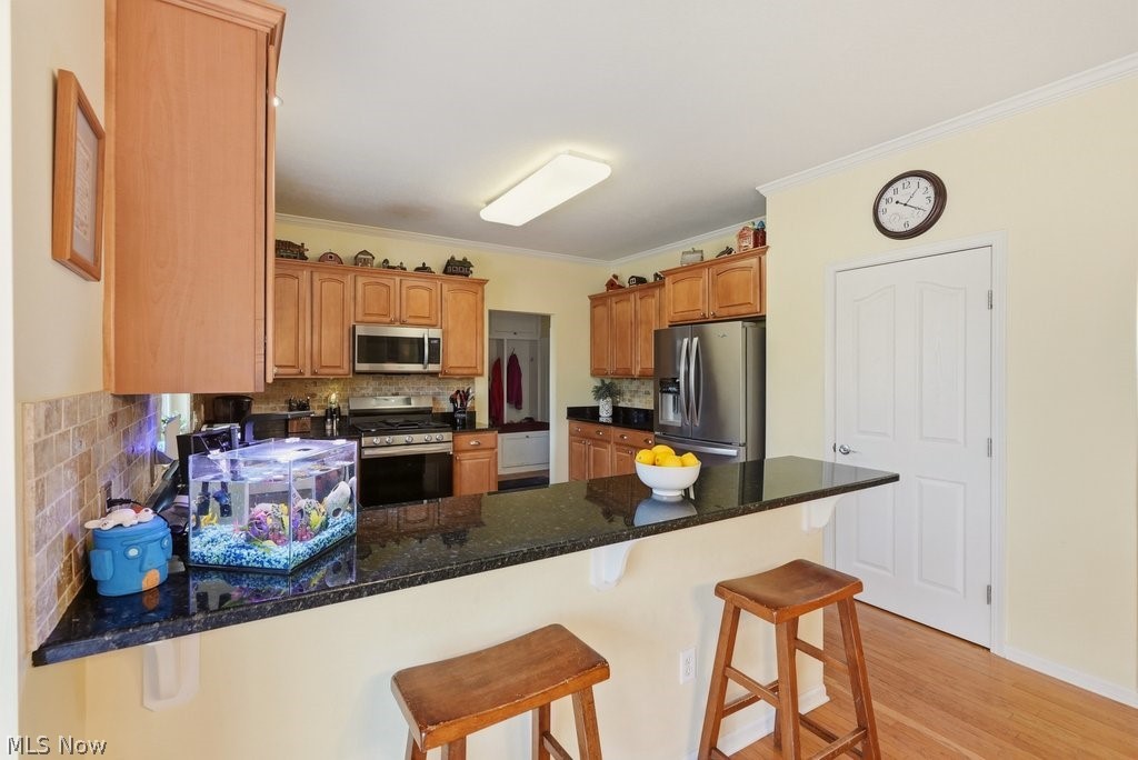 455 Cornell Drive Broadview Heights OH 44147