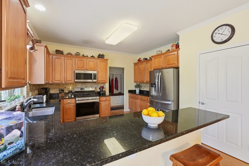 455 Cornell Drive Broadview Heights OH 44147