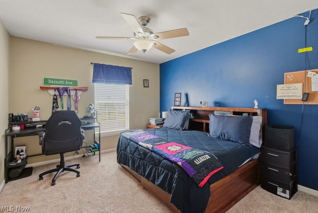 455 Cornell Drive Broadview Heights OH 44147