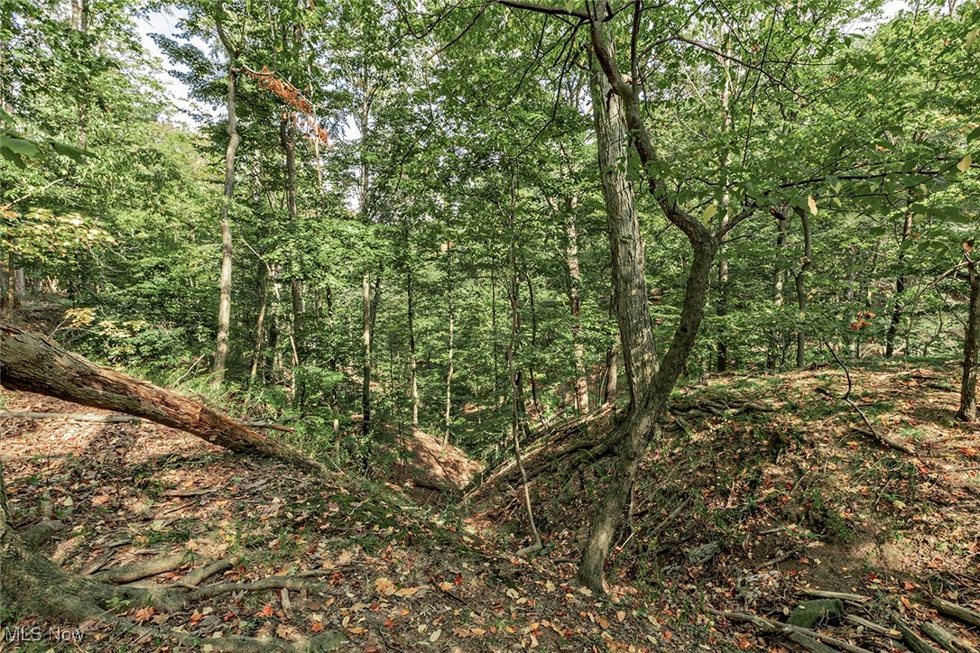 3511 Randolph Road Cleveland Heights OH 44121