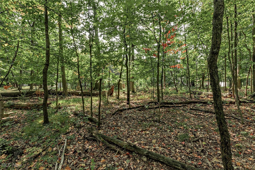 3511 Randolph Road Cleveland Heights OH 44121