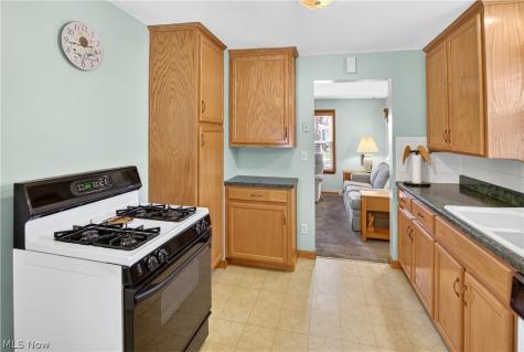 10004 Manoa Avenue Brooklyn OH 44144