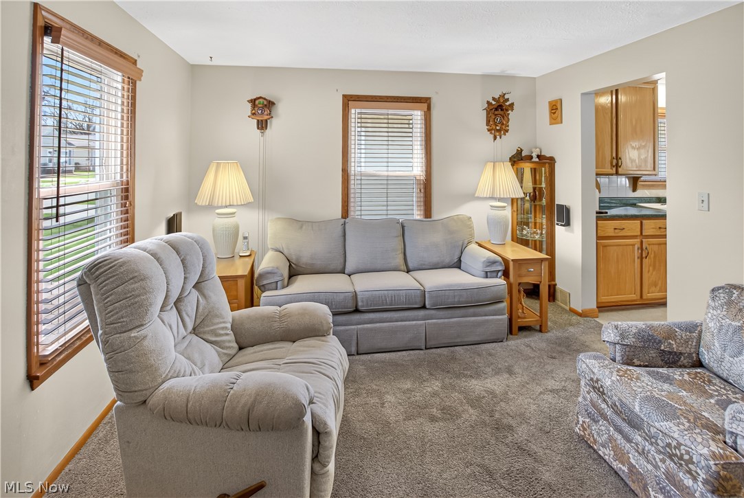 10004 Manoa Avenue Brooklyn OH 44144