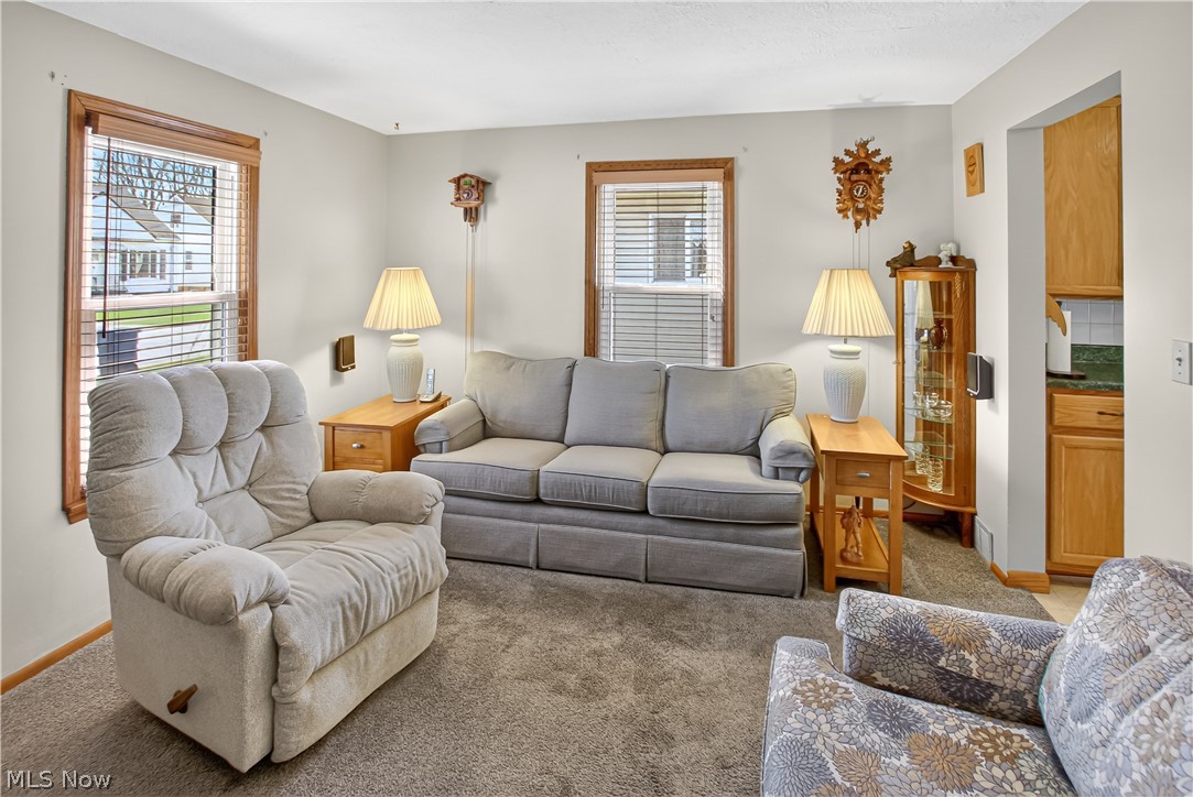 10004 Manoa Avenue Brooklyn OH 44144
