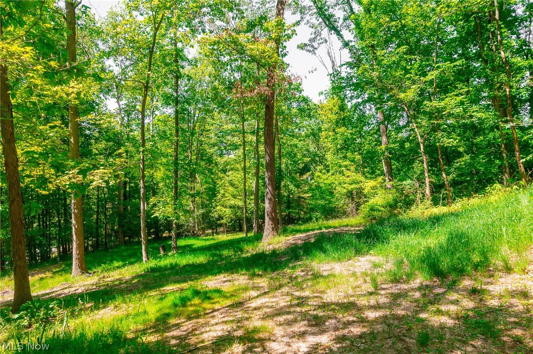 6257 Caddy Road SW Bowerston OH 44695