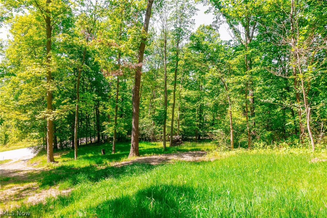 6257 Caddy Road SW Bowerston OH 44695