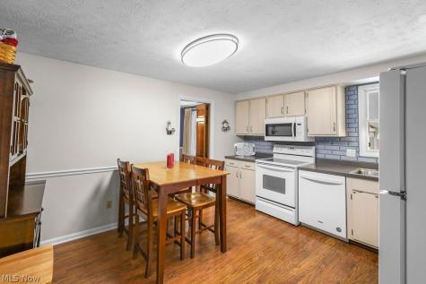 518 Treeside Drive Stow OH 44224