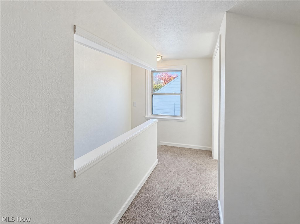 1541 E 254th Street Euclid OH 44117