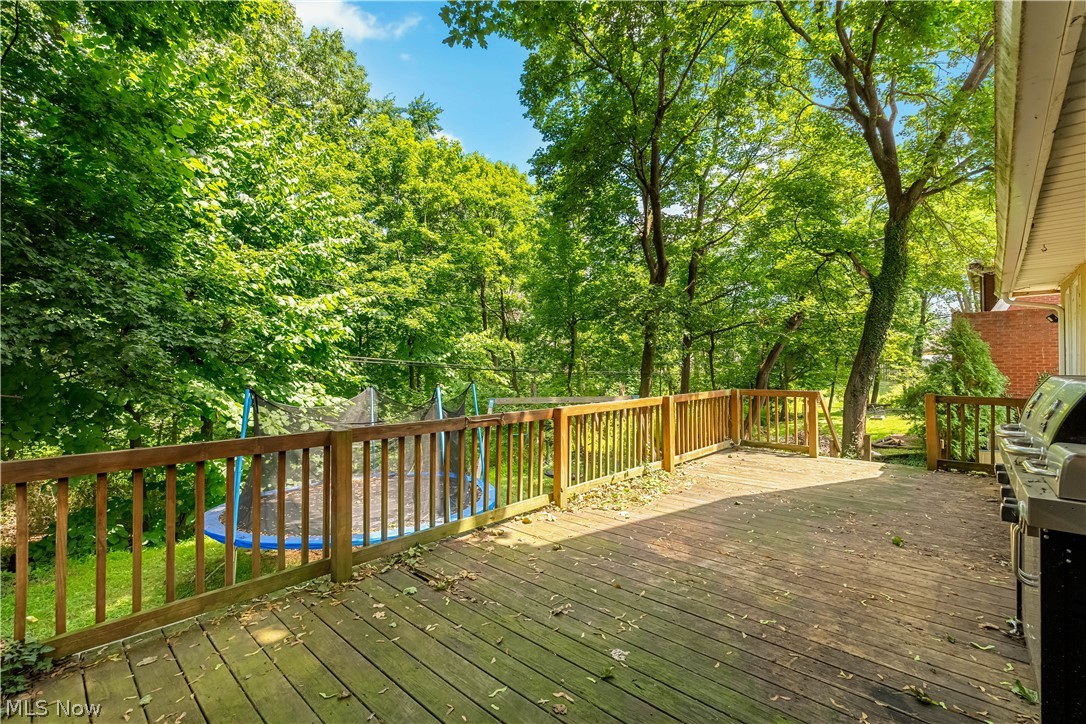 151 Overlook Drive Alliance OH 44601