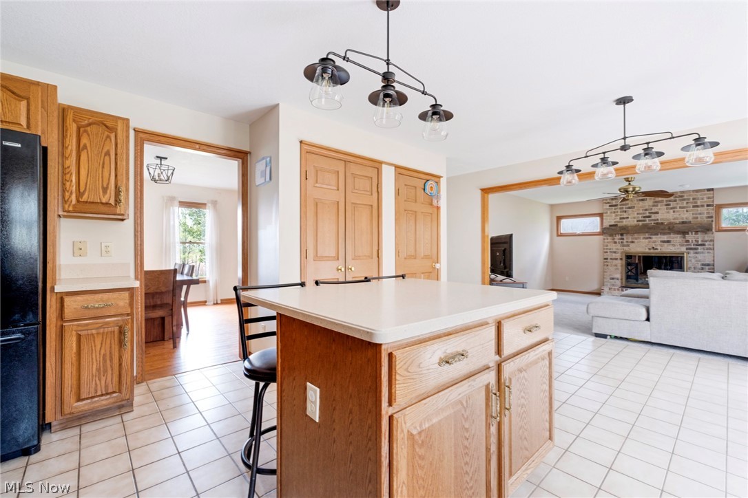 8105 Caymen Court Canfield OH 44406