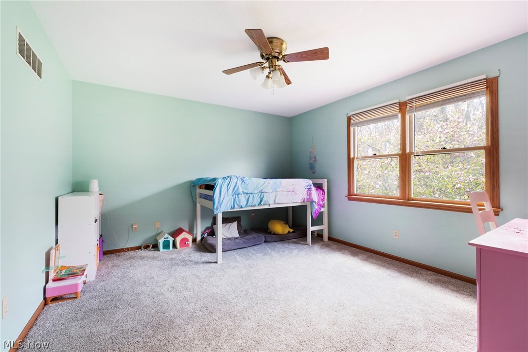 8105 Caymen Court Canfield OH 44406