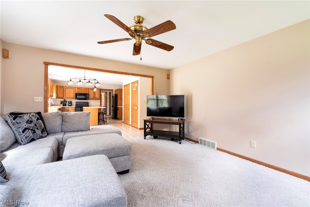 8105 Caymen Court Canfield OH 44406