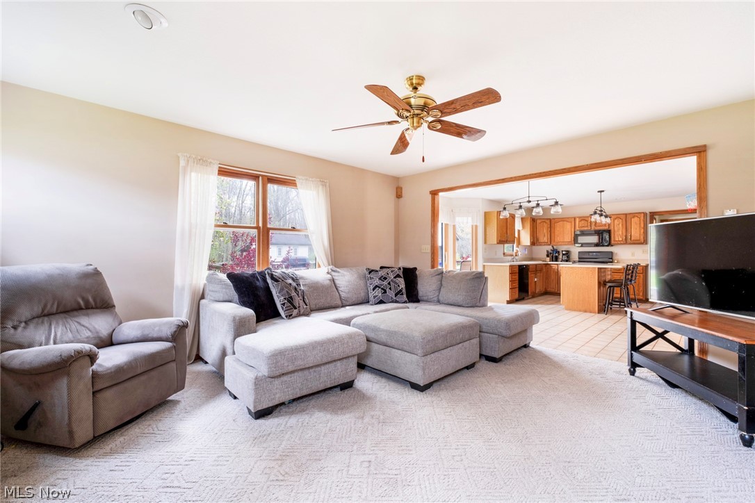 8105 Caymen Court Canfield OH 44406