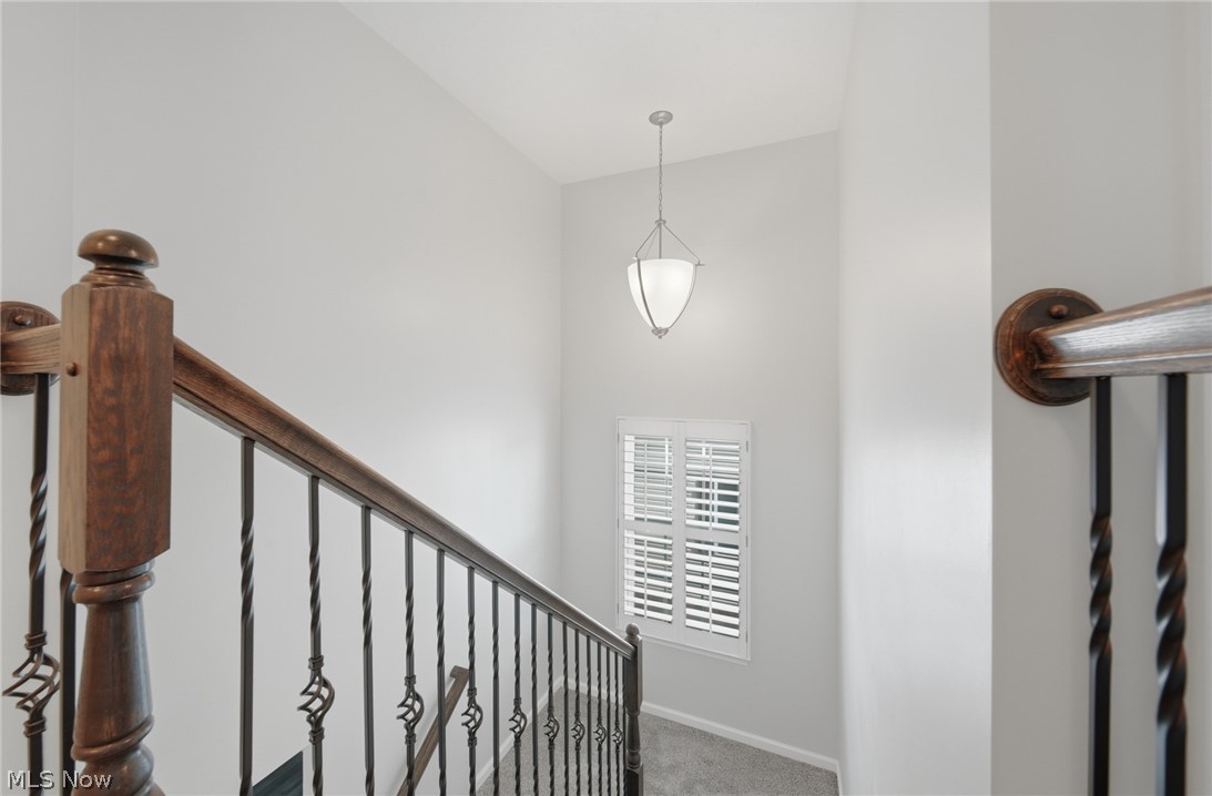 846 Hilliary Lane Aurora OH 44202