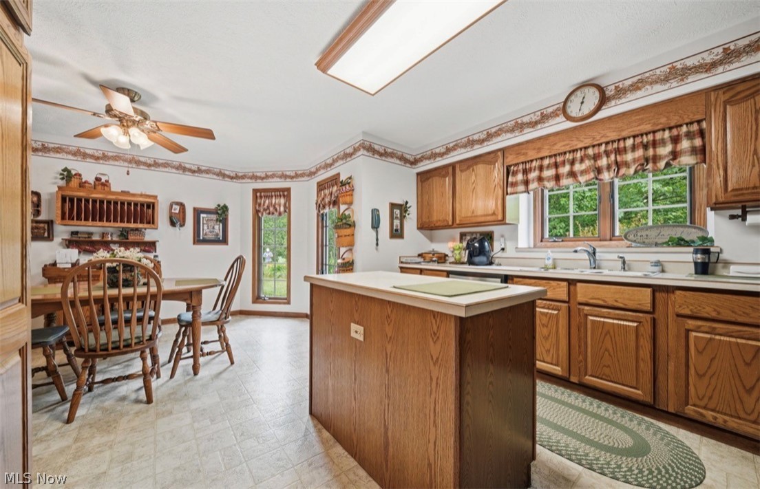 3556 Lake Road Conneaut OH 44030