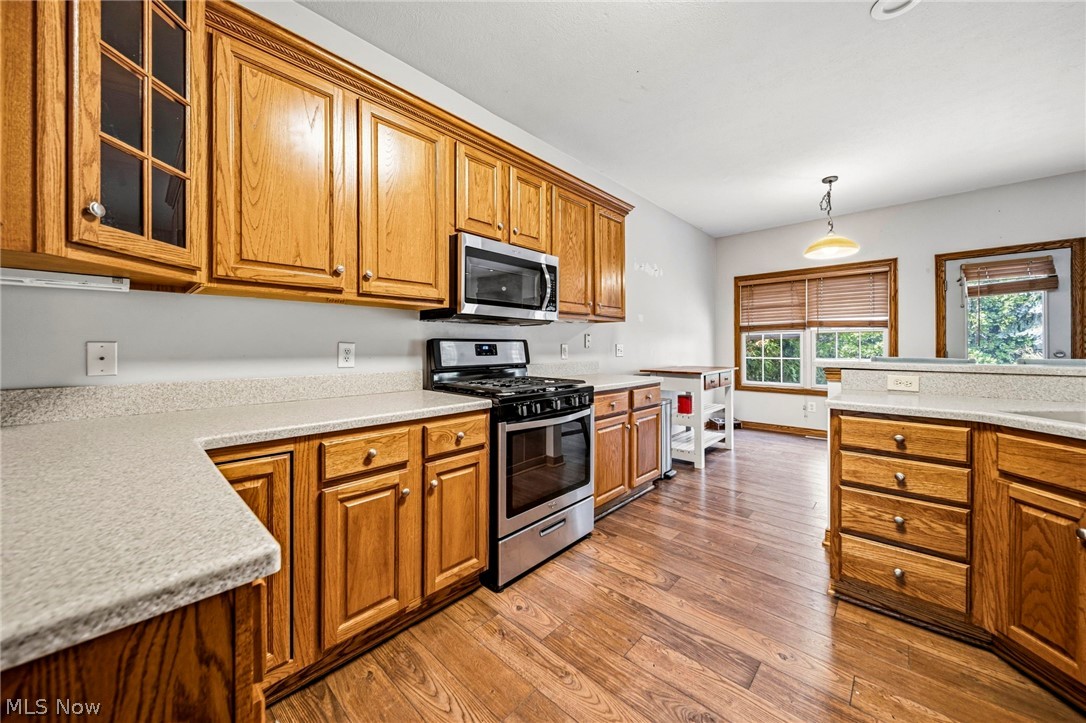 1587 Clipper Cove Painesville OH 44077