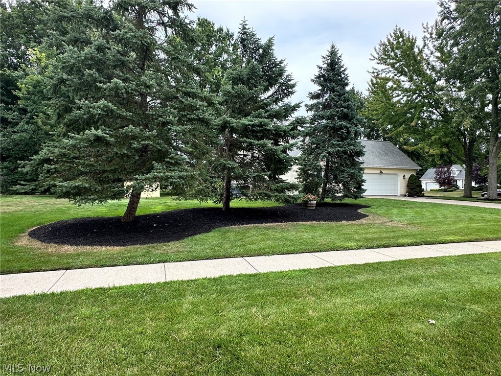 2462 Candlewood Drive Avon OH 44011