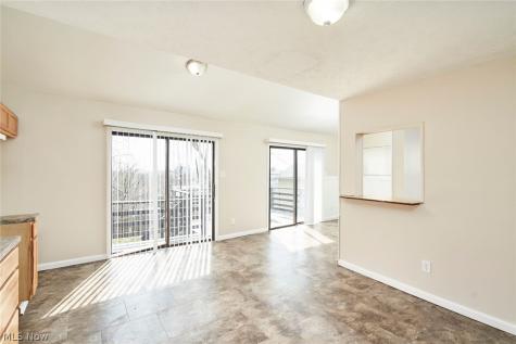 85 Mount View Avenue Akron OH 44303