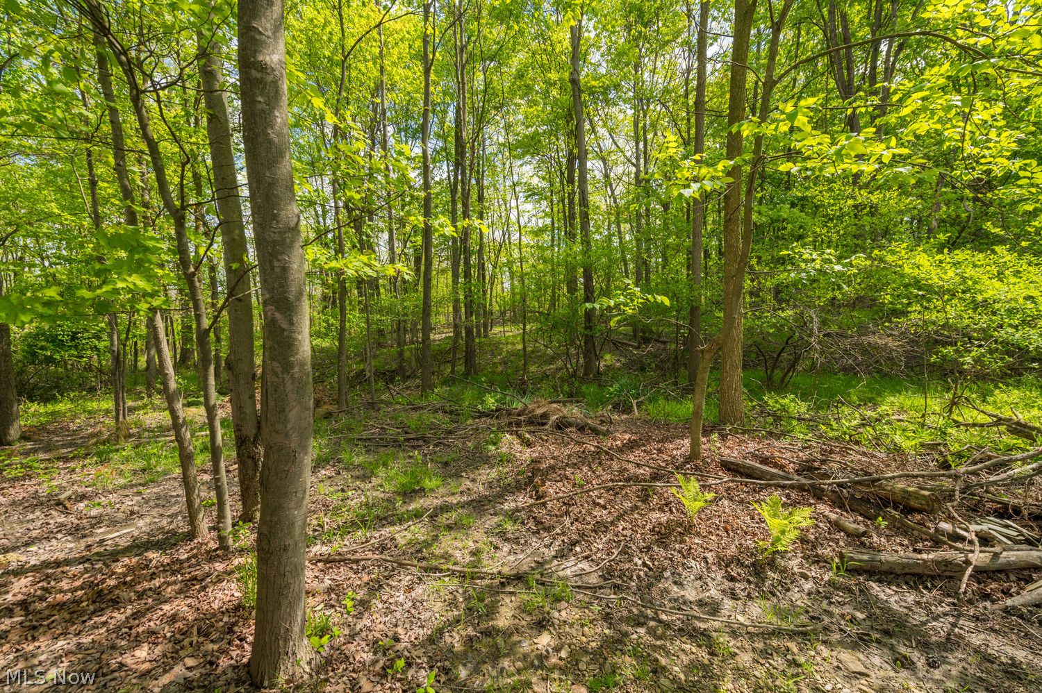 16825 Walnut Creek Drive Strongsville OH 44149
