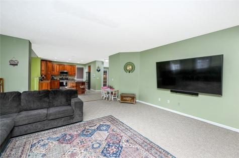 10204 Autumn Circle Streetsboro OH 44241