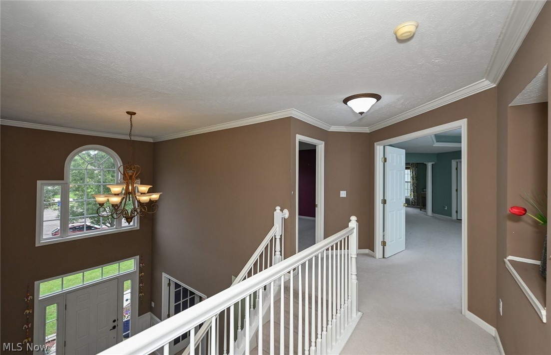 10204 Autumn Circle Streetsboro OH 44241