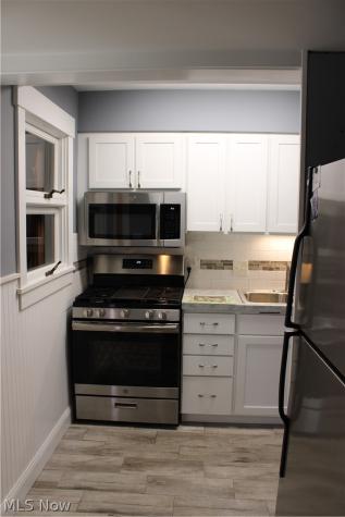 542 Lee Lore Drive Chippewa Lake OH 44215