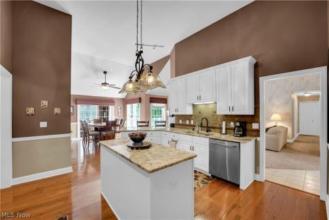 2924 Robert Gary Court Medina OH 44256