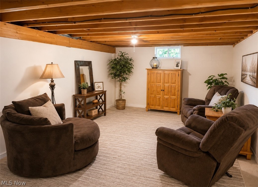 580 County Road 59 Bergholz OH 43908