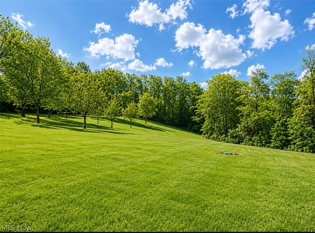 580 County Road 59 Bergholz OH 43908