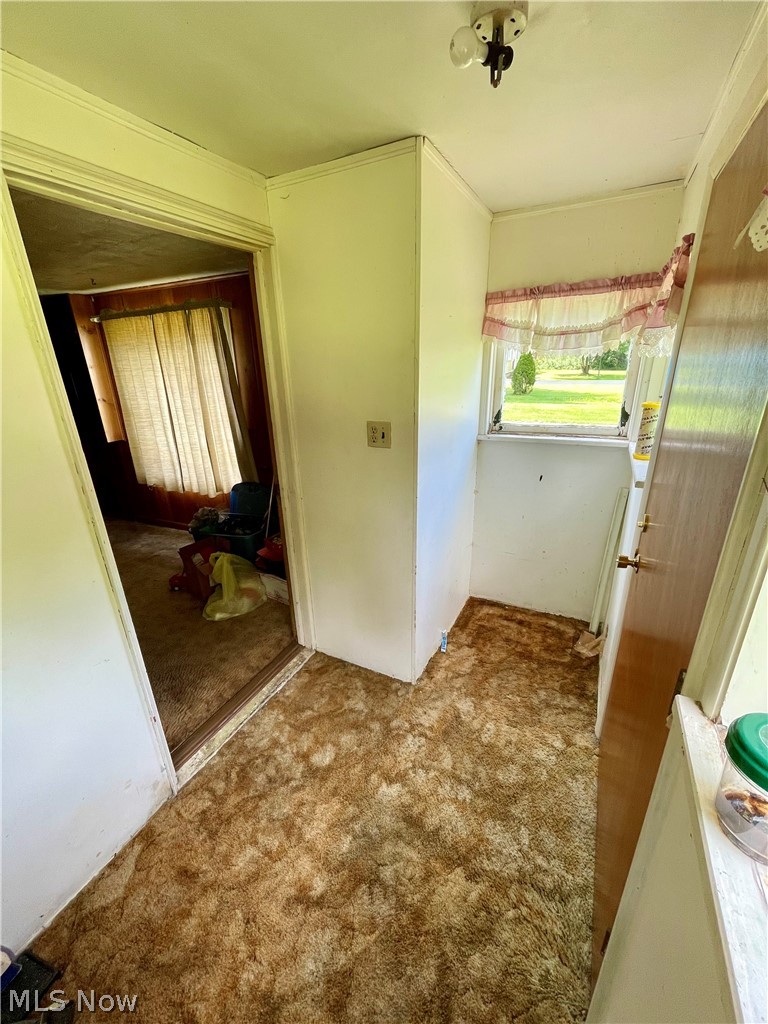 557 Russell Avenue Poland OH 44514