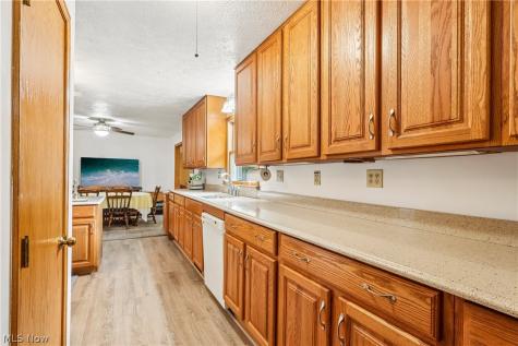 22875 Ellsworth Drive Minerva OH 44657