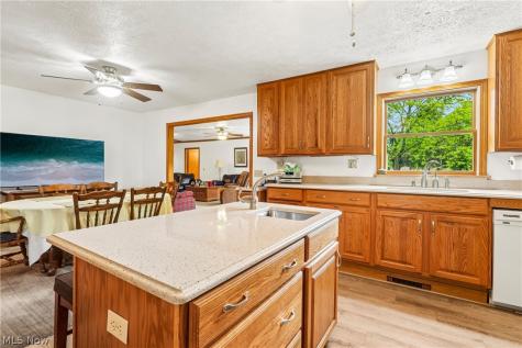22875 Ellsworth Drive Minerva OH 44657