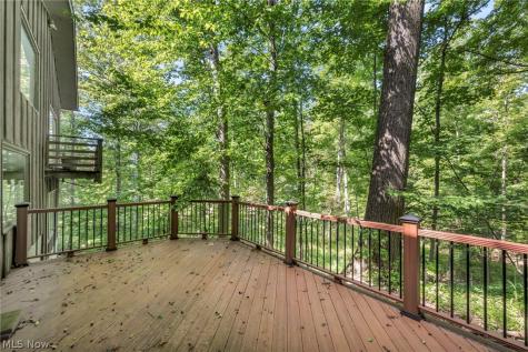 246 Windward Drive Elyria OH 44035
