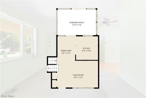 156 Dorland Avenue Berea OH 44017