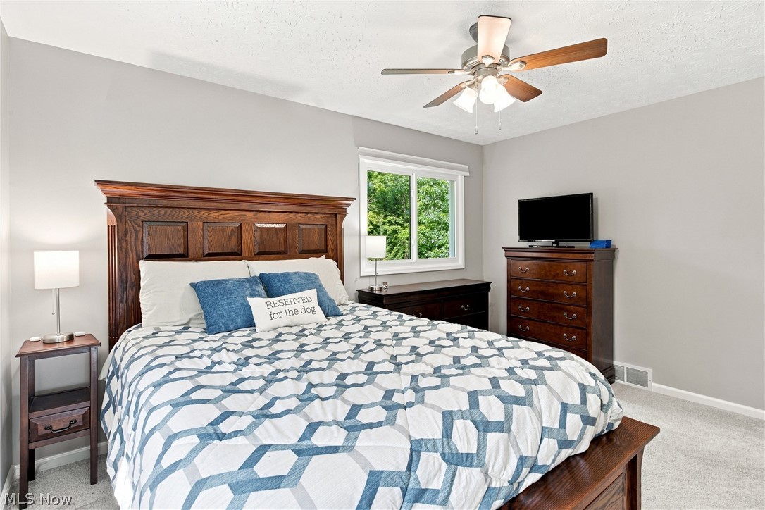 11089 Carriage Hill Drive Chagrin Falls OH 44023