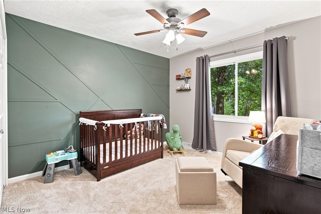 11089 Carriage Hill Drive Chagrin Falls OH 44023