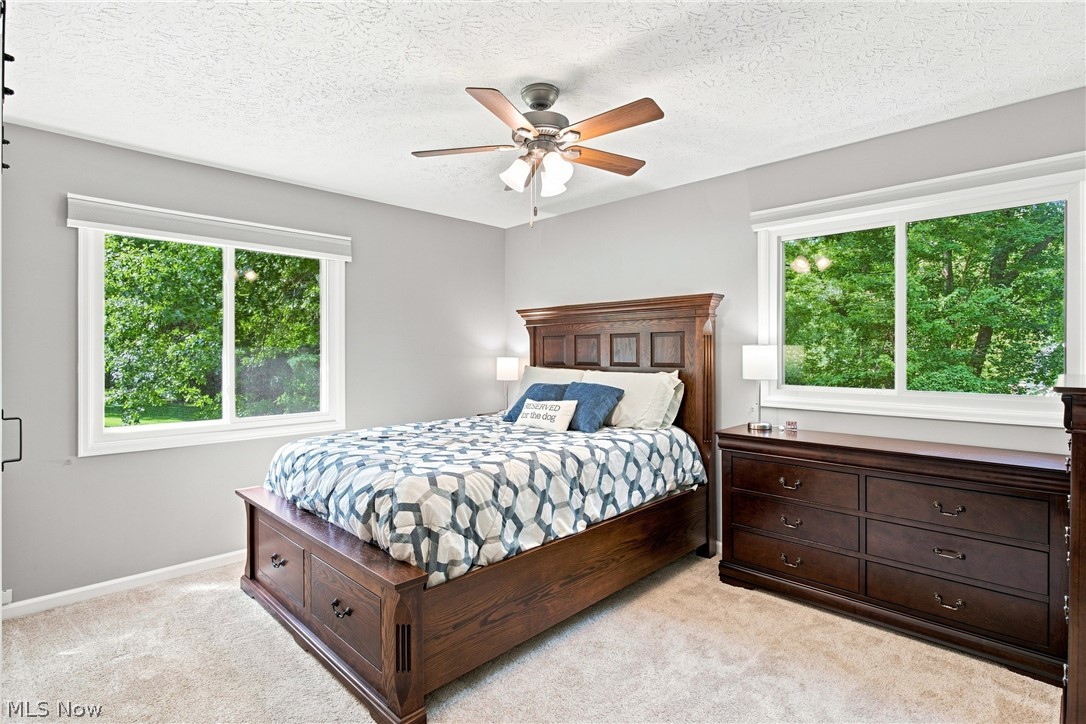 11089 Carriage Hill Drive Chagrin Falls OH 44023