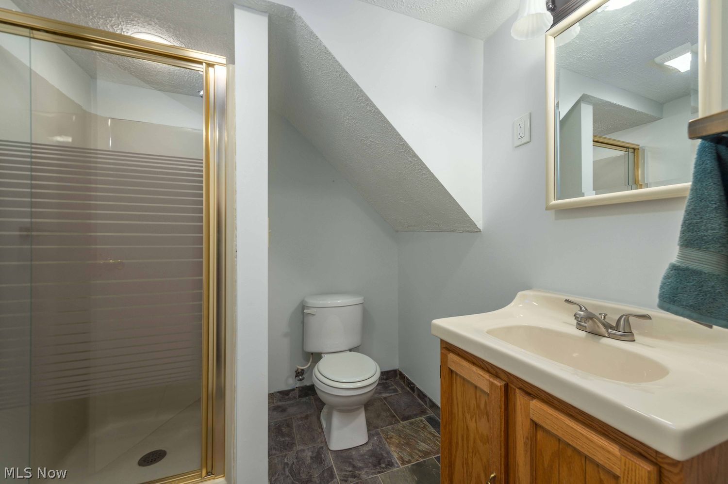 32364 Birchwood Lane Avon Lake OH 44012