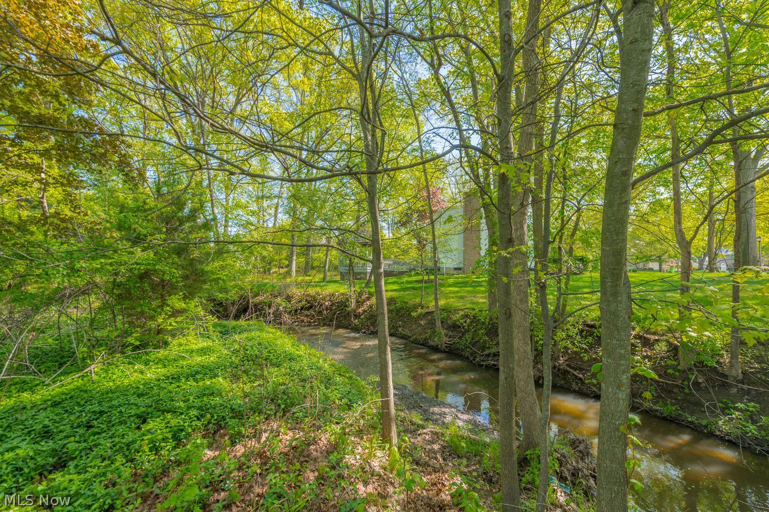 32364 Birchwood Lane Avon Lake OH 44012