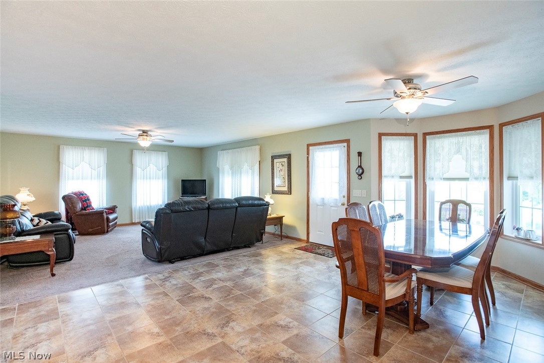 5577 Birchwood Drive Chippewa Lake OH 44215
