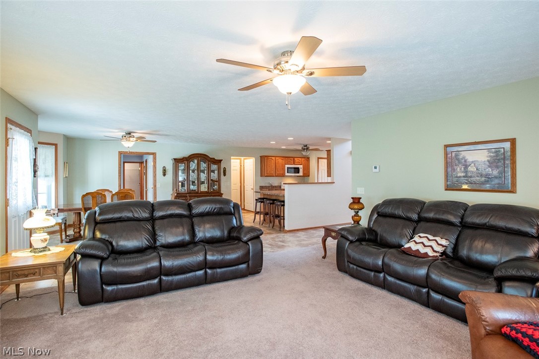 5577 Birchwood Drive Chippewa Lake OH 44215