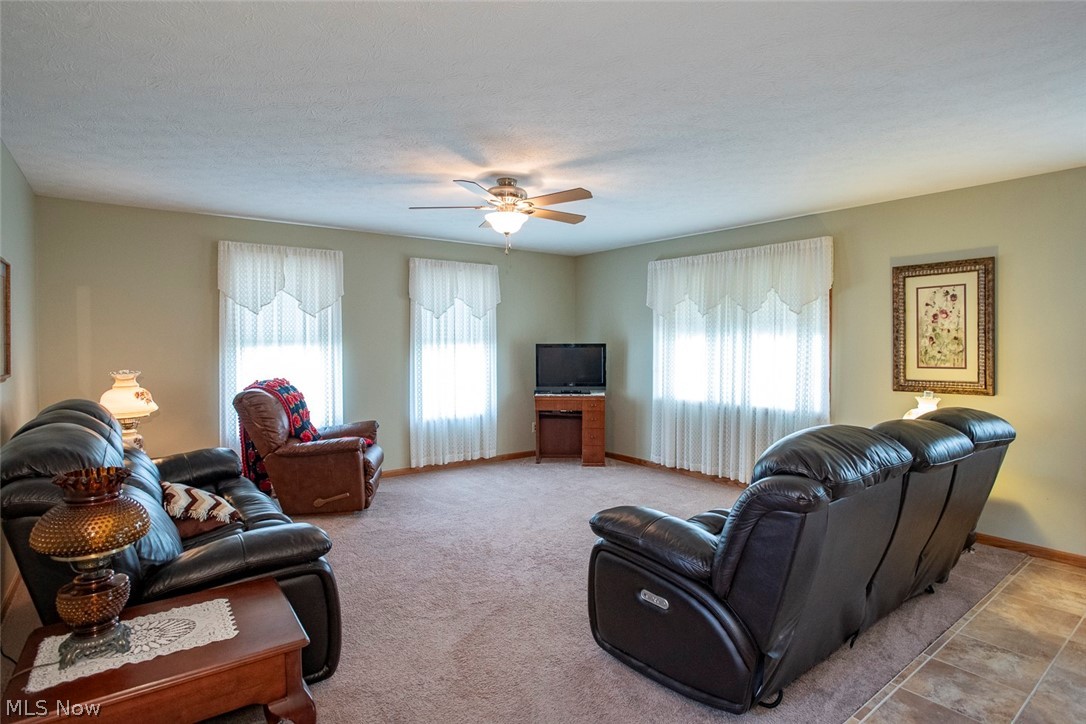 5577 Birchwood Drive Chippewa Lake OH 44215