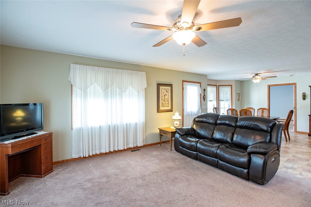 5577 Birchwood Drive Chippewa Lake OH 44215