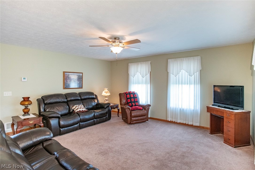 5577 Birchwood Drive Chippewa Lake OH 44215