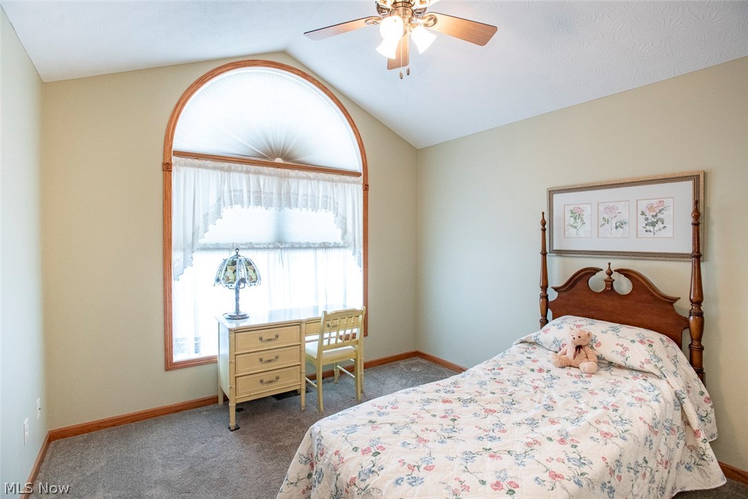 5577 Birchwood Drive Chippewa Lake OH 44215