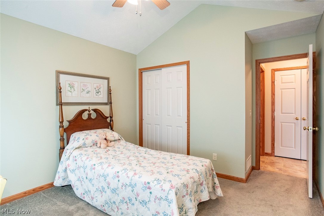 5577 Birchwood Drive Chippewa Lake OH 44215
