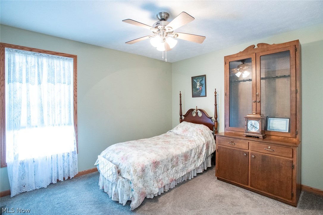 5577 Birchwood Drive Chippewa Lake OH 44215