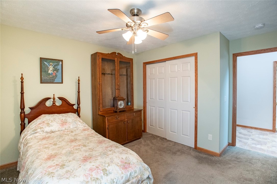 5577 Birchwood Drive Chippewa Lake OH 44215