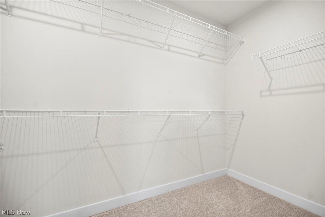 2032 Viewpointe Court Columbia Station OH 44028