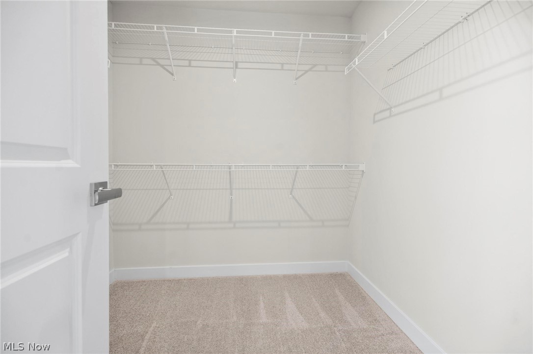 2032 Viewpointe Court Columbia Station OH 44028